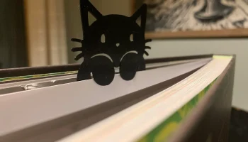 Кошачья закладка