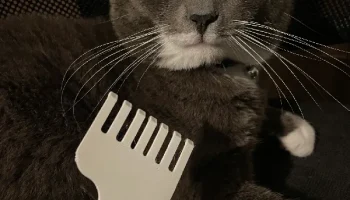 Когтеточка для кошек - одобрено для кошек... 1