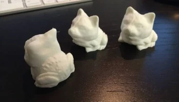 Toad Cat 3