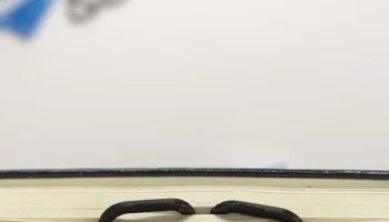 Paper Clip 2