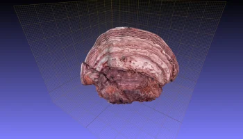 LilScan: 3D-сканер нового поколения, сделанный своими рук.. 2