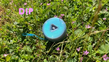 DIP не отвечает YoYo