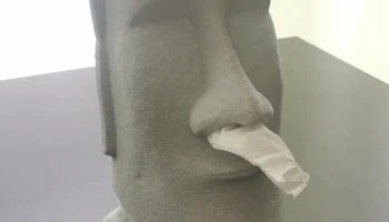 Диспенсер для салфеток Moai (разрез + невидимый шов + неч... 1