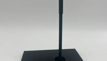 Череп тираннозавра 1