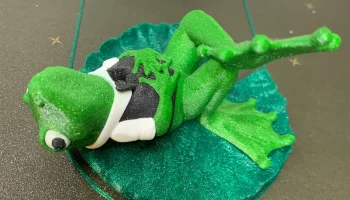 Мистер Джей Понд: Фрогги на кувшинке Мистер Джей Понд: Фрогги на кувшинке