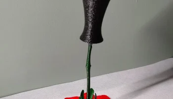 Гравитационная Роза 1