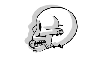 Skull Cat