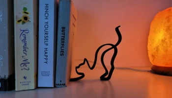 Легкая минималистичная подставка для книг в форме кошки...