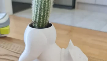 Кот Кактус Горшок