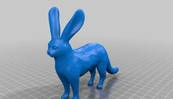 Bunny Cat