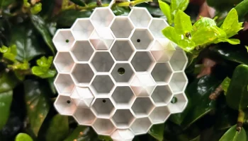 Реалистичный сдерживающий фактор RED WASP...... 4