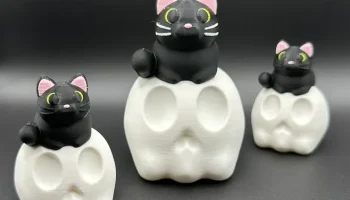 Черная кошка на черепе
