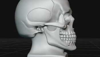skull bust 1