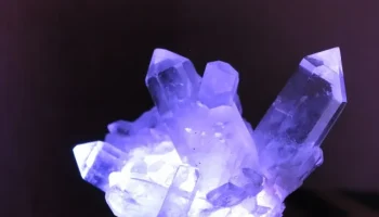 LightBase с двумя независимыми RGB-секвенсорами............ 3