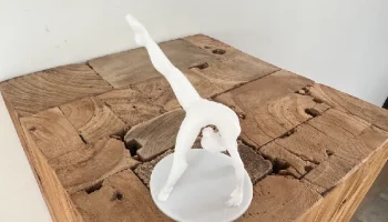 Gymnast 1
