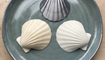Модель натуральной ракушки