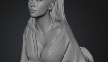 geisha geisha