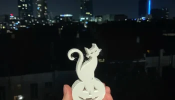 Spooky cat