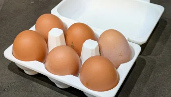 Картонная коробка для яиц (6x и 4x) - Шарнир - Штабелируе...