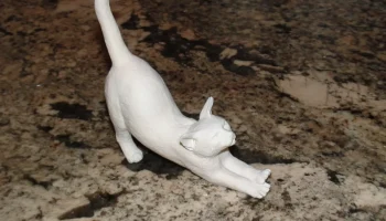 Кошачья растяжка