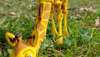 Giraffe 3