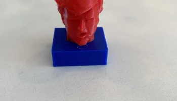 Чехол для камеры ноутбука Trump Face 2