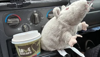 1 адаптер для подстаканника DIN 6
