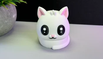 Cute Cat 1