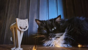 Кошачий клип!
