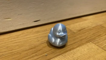 mini Duck 3