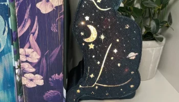 Небесный кошачий фонарь - светящийся декор книжного уголк... 1