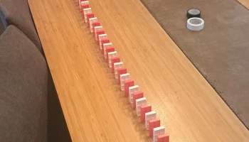 Замена HackPack Domino 2