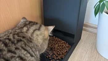 Автоматическая кормушка для домашних животных............ 2