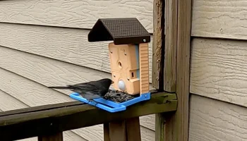 Камера кормушки Iot Birder 2