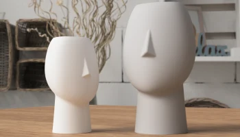 Face Vase