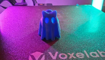 Ghost cat 4