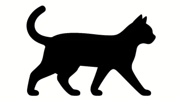 Гибкая игрушка для кошек 2
