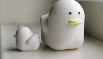 Cute Duck