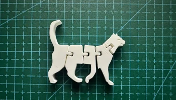 Flexi Cat