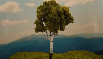 Растительность А 1