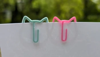 Kitty Clip - быстрый двухминутный маркер страницы-закладки в 1