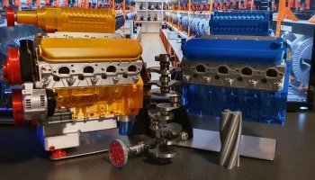 LS3 Желтая птица 1