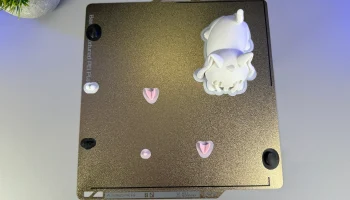 Cute Cat 8