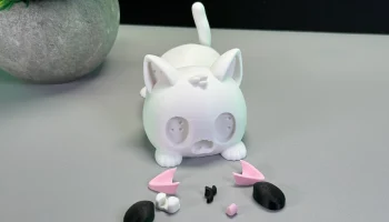 Cute Cat 5