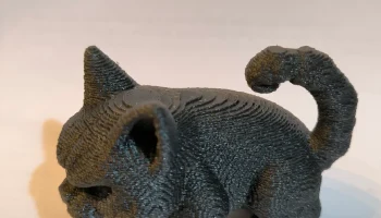 Angry Cat 6