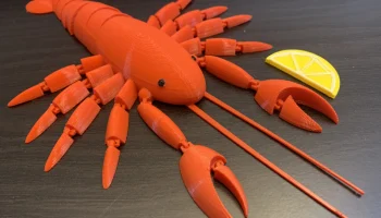 Шарнирный омар 1