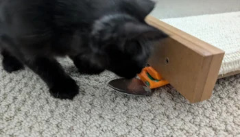 Дозатор жидких лакомств Cat, управляемый одной рукой, для... 1