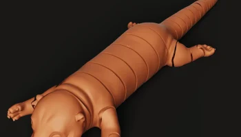 Гибкая шарнирная выдра | 3D-печать игрушки-непоседы | Под... 2
