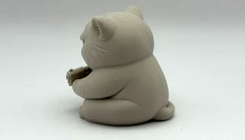 Сердитый кот с ружьем 3