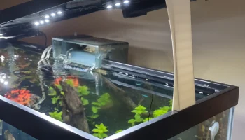 Держатель крышки аквариума